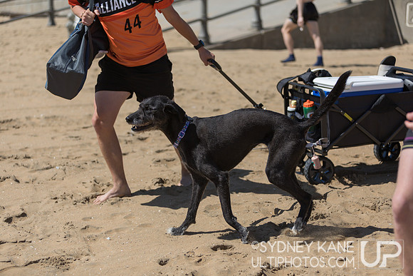 Saturday - 2025 Beach Championships