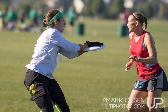 Great Lakes Regionals  - Sunday Mixed Quarters
