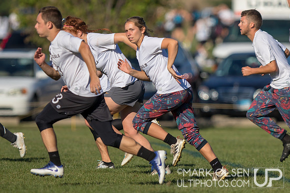 Great Lakes Regionals  - Sunday Mixed Quarters