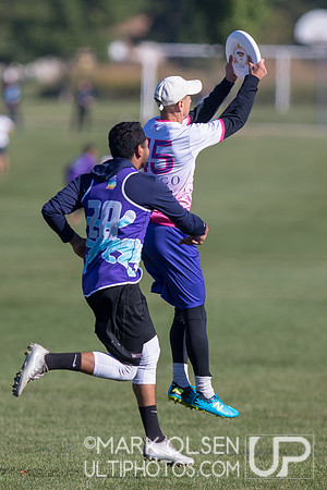 Great Lakes Regionals  - Sunday Mixed Quarters