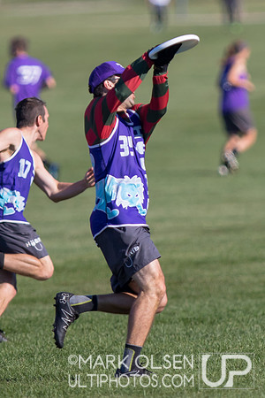 Great Lakes Regionals  - Sunday Mixed Quarters