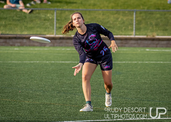 2024 USA Ultimate Division III College Championships ©