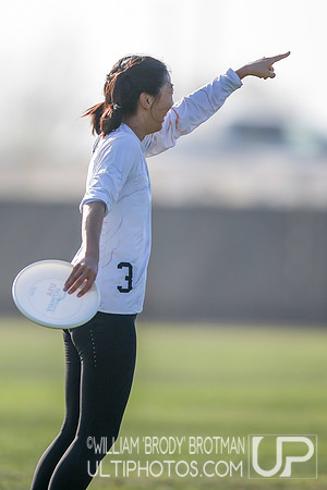 Day 1 of USA Ultimate 2023 Club Championships.