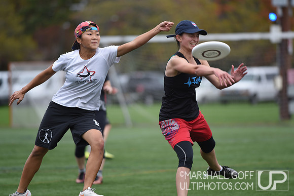 Harvard 40th Ultimate Reunion