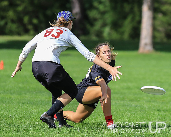2018 USAU Northeast Regionals - Saturday