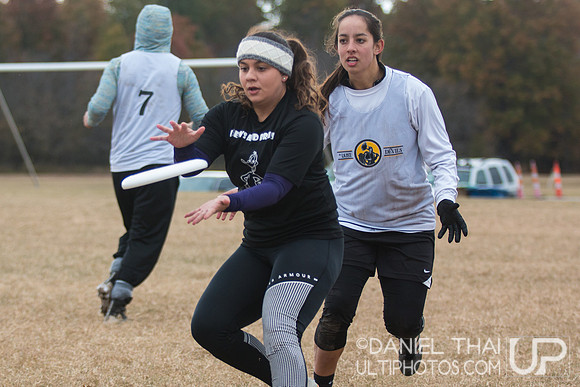 USA Ultimate College Mixed South Regionals