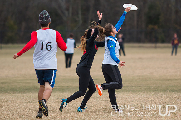 USA Ultimate College Mixed South Regionals