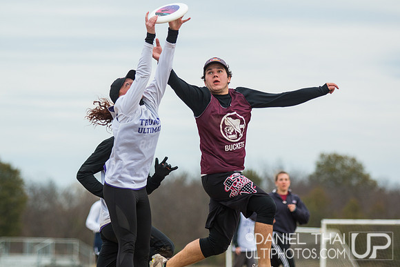 USA Ultimate College Mixed South Regionals