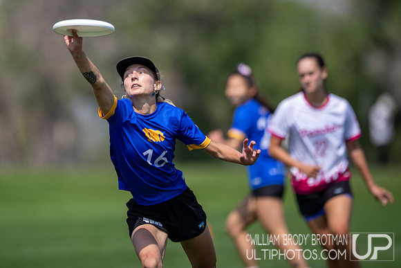Day 1 of the USA Ultimate U.S. Open ICC Championships