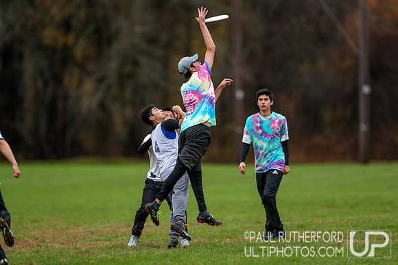 2018 Northeast USAU mixed college regionals