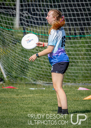 2024 USA Ultimate Division III College Championships ©