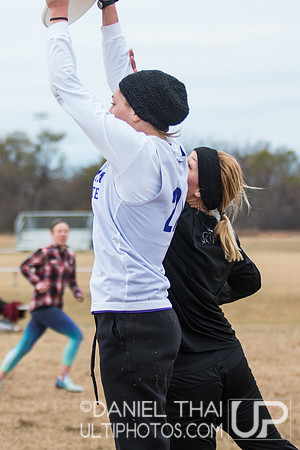 USA Ultimate College Mixed South Regionals