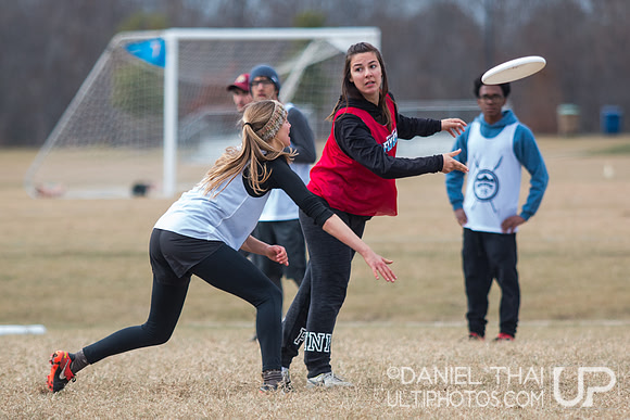 USA Ultimate College Mixed South Regionals