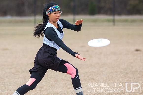 USA Ultimate College Mixed South Regionals
