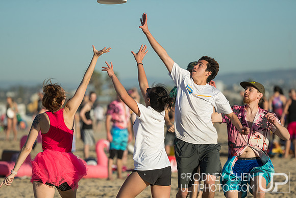 Lei Out 2019