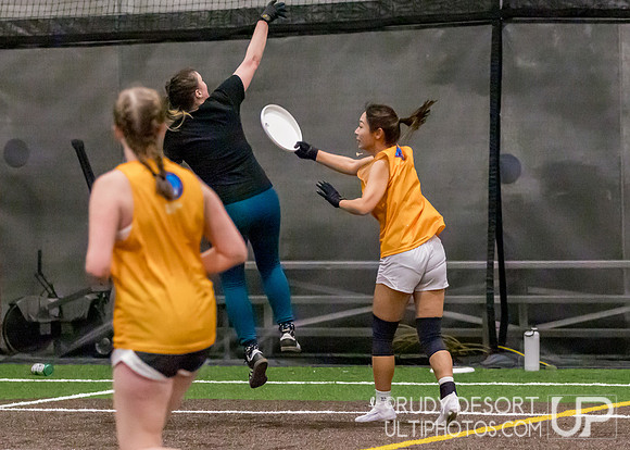 Season 2 Finals; Chicago Indoor Ultimate League