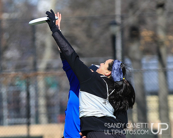 New York Gridlock Tryouts 1-26-19