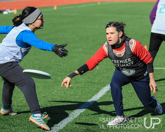 New York Gridlock Tryouts 1-26-19