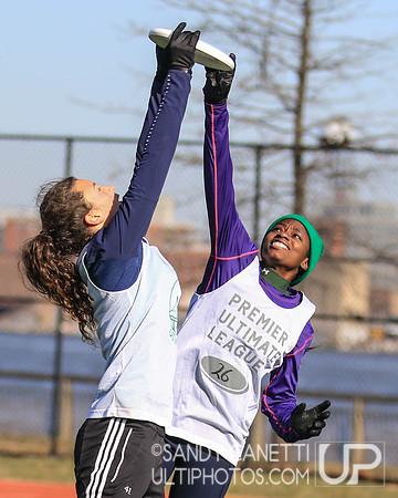 New York Gridlock Tryouts 1-26-19