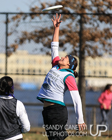 New York Gridlock Tryouts 1-26-19