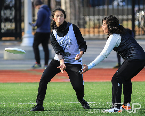 New York Gridlock Tryouts 1-26-19