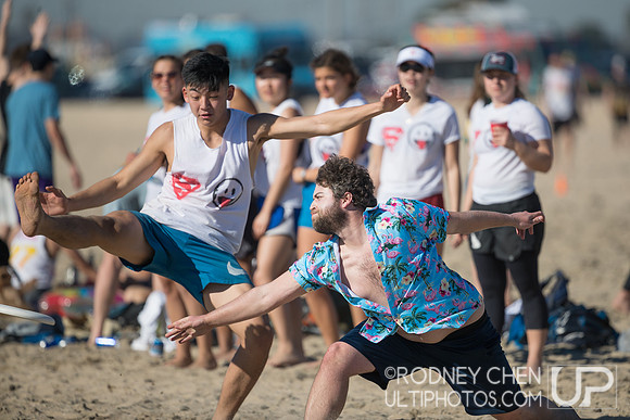 Lei Out 2019