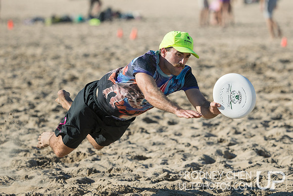 Lei Out 2019