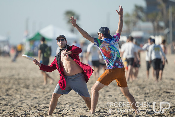 Lei Out 2019