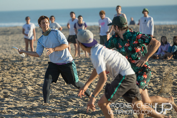Lei Out 2019