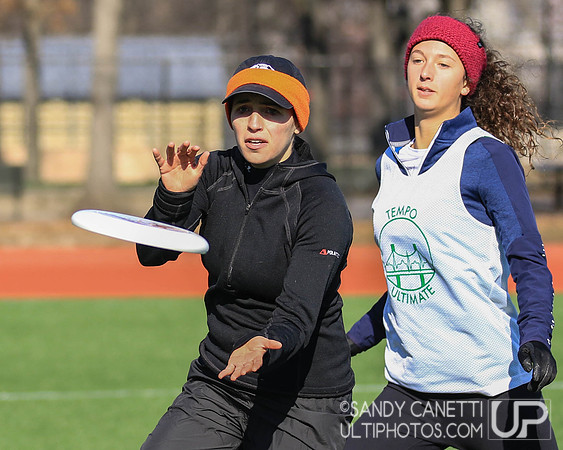 New York Gridlock Tryouts 1-26-19