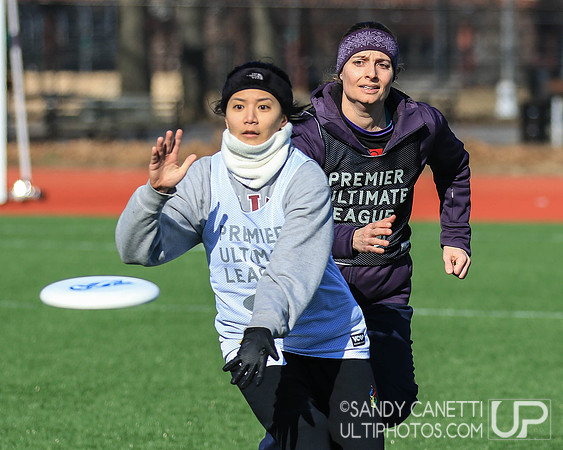 New York Gridlock Tryouts 1-26-19