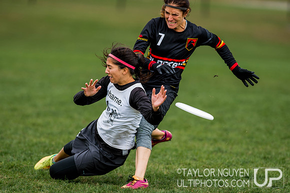 USA Ultimate Club National Championships