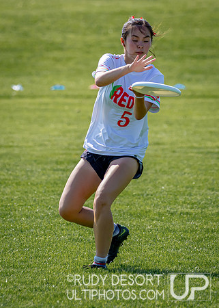 2024 USA Ultimate Division III College Championships ©