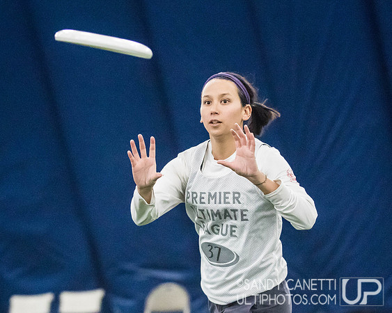 New York Gridlock Tryouts 2-2-19