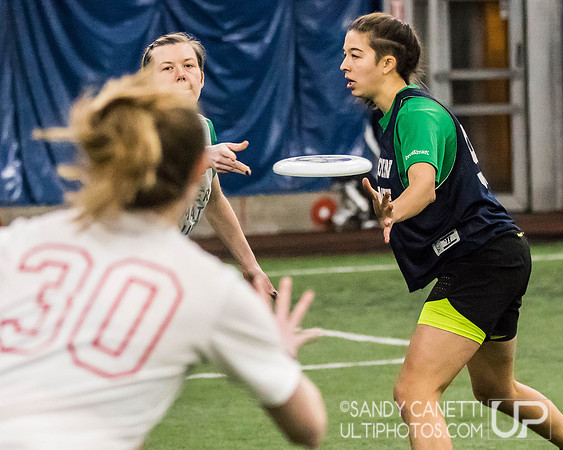 New York Gridlock Tryouts 2-2-19