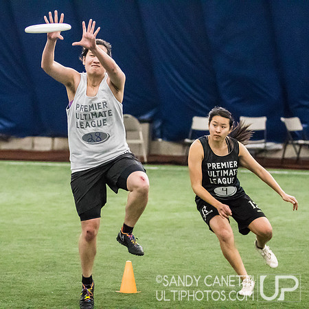 New York Gridlock Tryouts 2-2-19