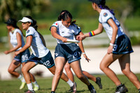 Day 2 of WFDF 2023 Pan American Ultimate Championships.