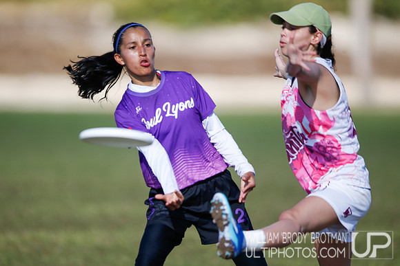 Day 3 of WFDF 2023 Pan American Ultimate Championships.