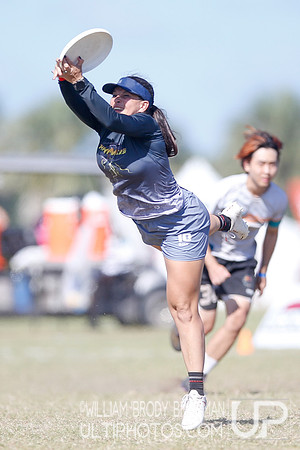 Day 3 of WFDF 2023 Pan American Ultimate Championships.
