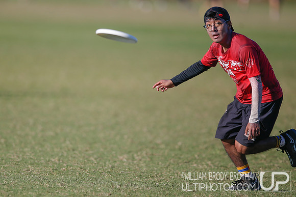 Day 3 of WFDF 2023 Pan American Ultimate Championships.
