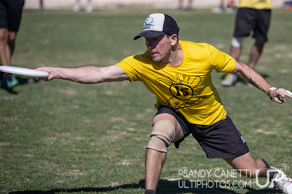 Day 3 of WFDF 2023 Pan American Championships