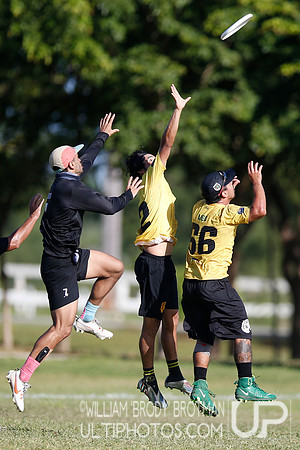 Day 4 of WFDF 2023 Pan American Ultimate Championships.