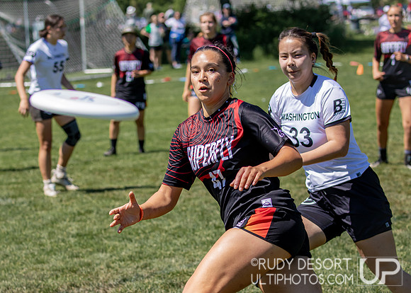 2024 USA Ultimate Division I College Championships ©
