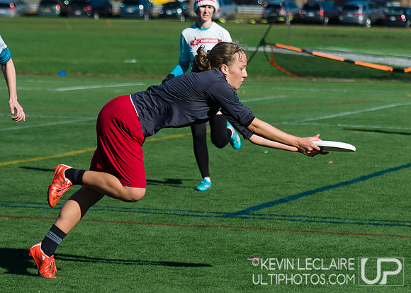 Harvard Ultimate Alumni v. current teams