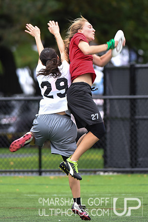 Harvard 40th Ultimate Reunion