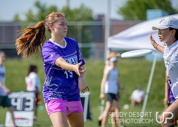 2024 USA Ultimate Division III College Championships ©