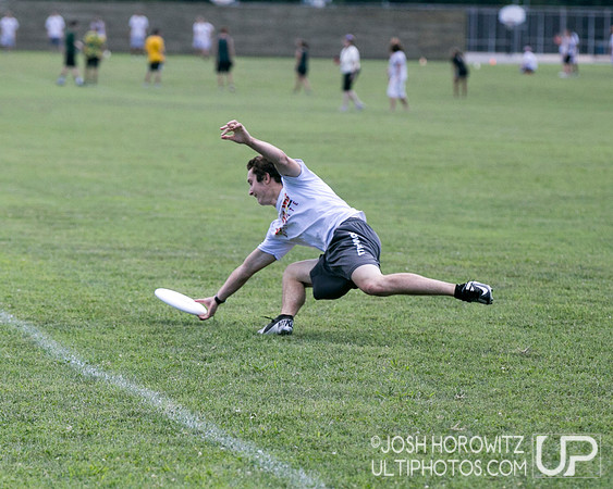 Capital Sectionals Sunday 2014