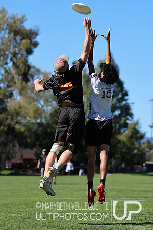 Stanford Invite 2025