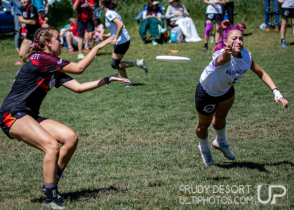 2024 USA Ultimate Division I College Championships ©