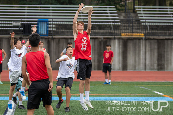 YULA 2019 Open Dev